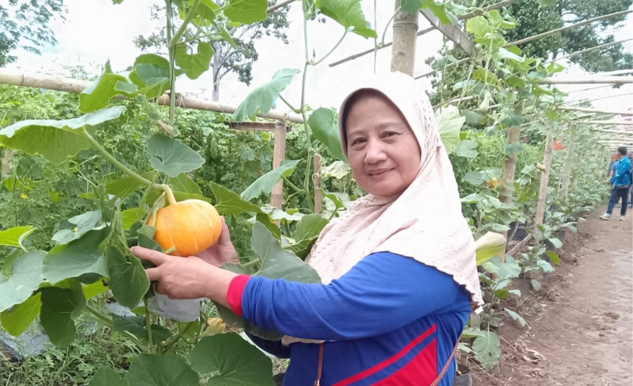 Setiap akhir pekan, kawasan Pulau Emas di Kecamatan Tebing Tinggi, Kabupaten Empat Lawang, terlihat semakin ramai dikunjungi.